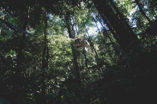 The 5 coolest treehouse hotels to dream about already